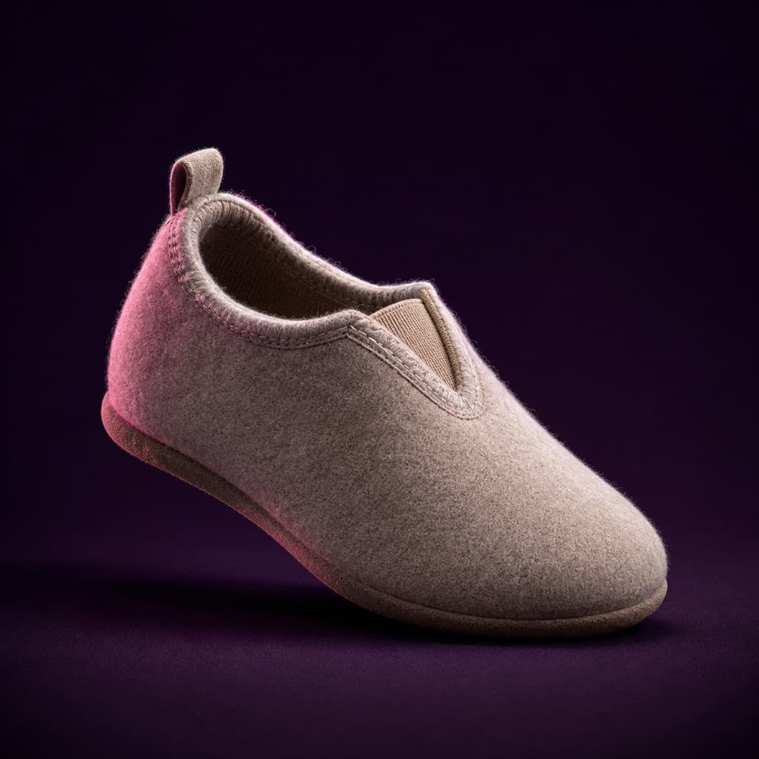 Indoor Soft Shoe